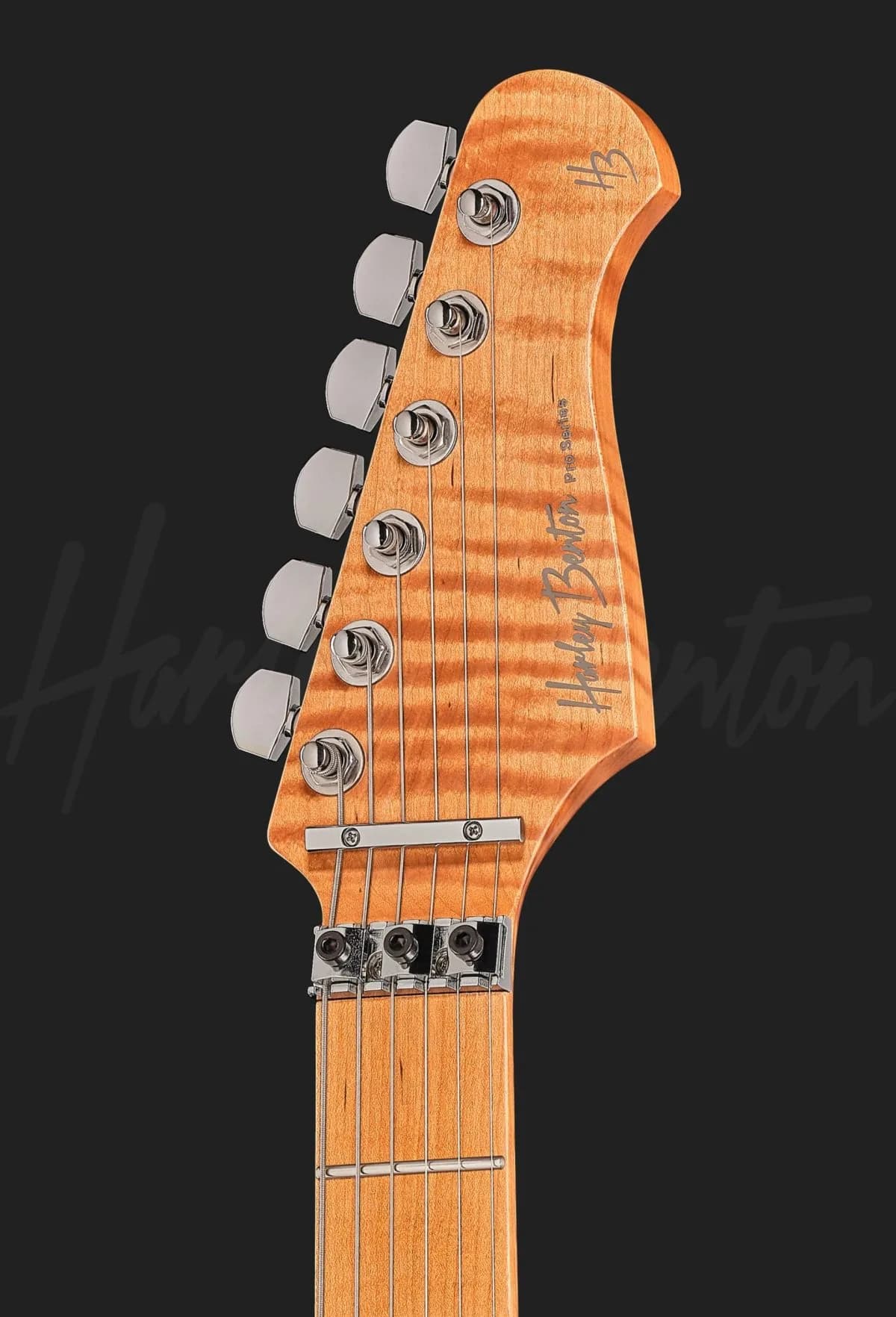 Harley Benton ST-80FR MN HH Black — photo 6