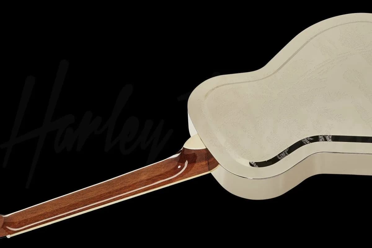 Harley Benton CLR-ResoElectric — photo 8