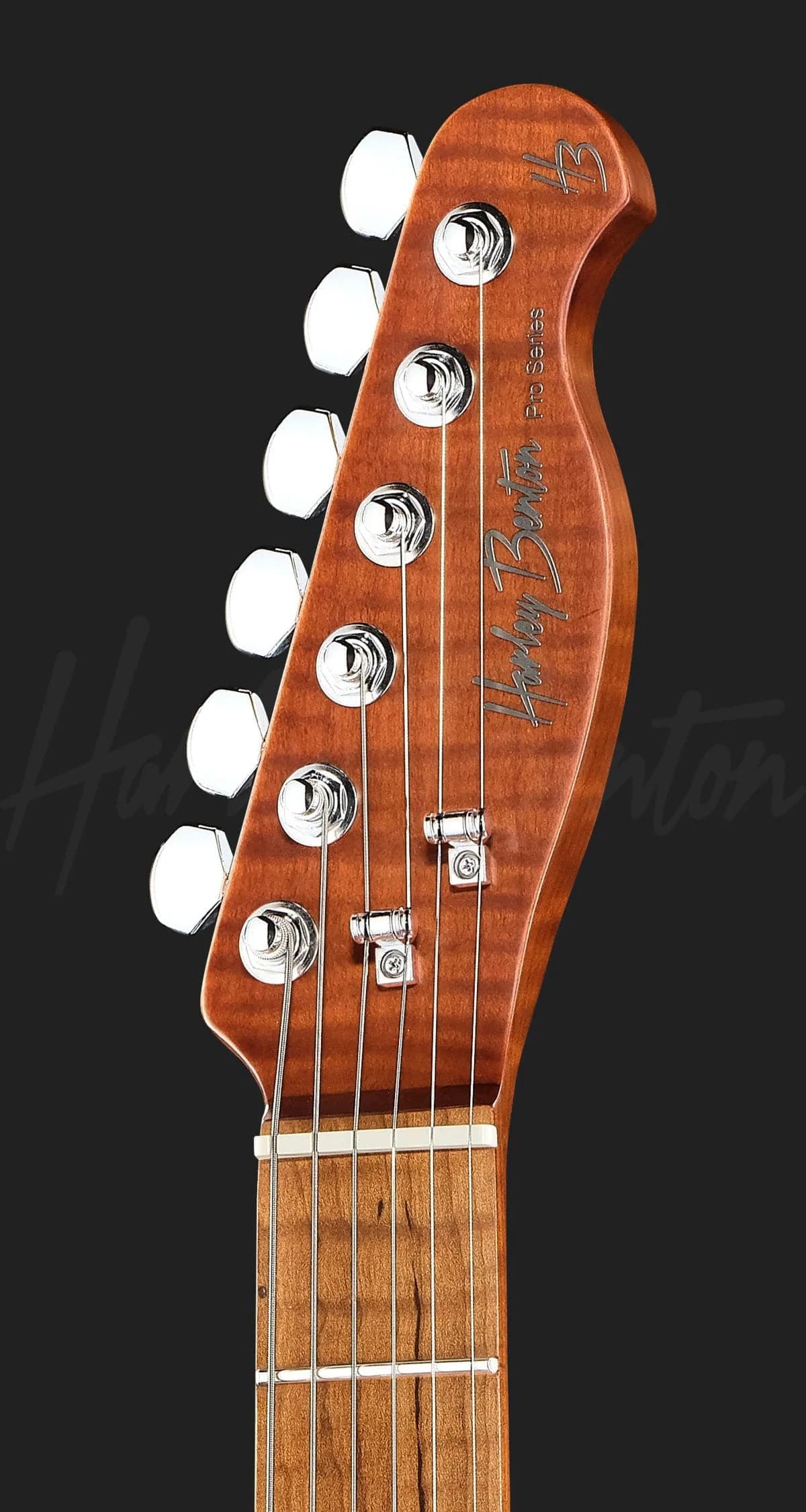 Harley Benton Fusion-T II HH MN HT SGR — photo 6