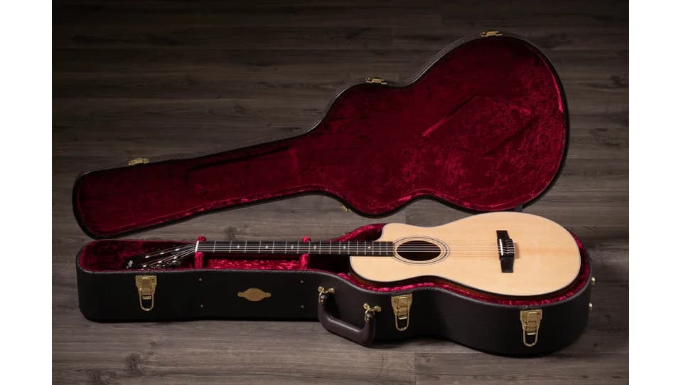 Taylor 312ce-N — photo 3