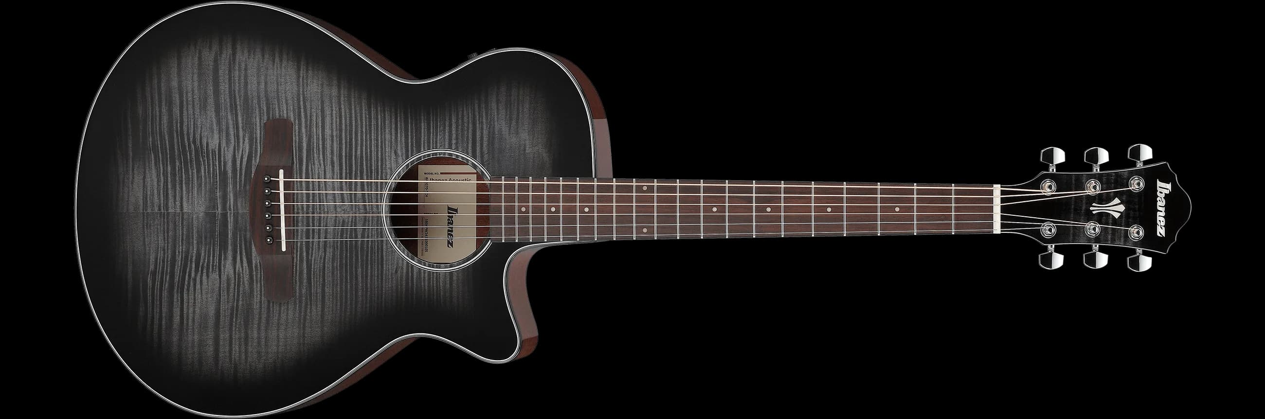 Ibanez AEG70
