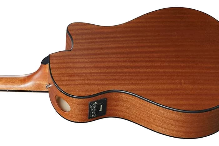 Ibanez AAM50LCE — photo 3