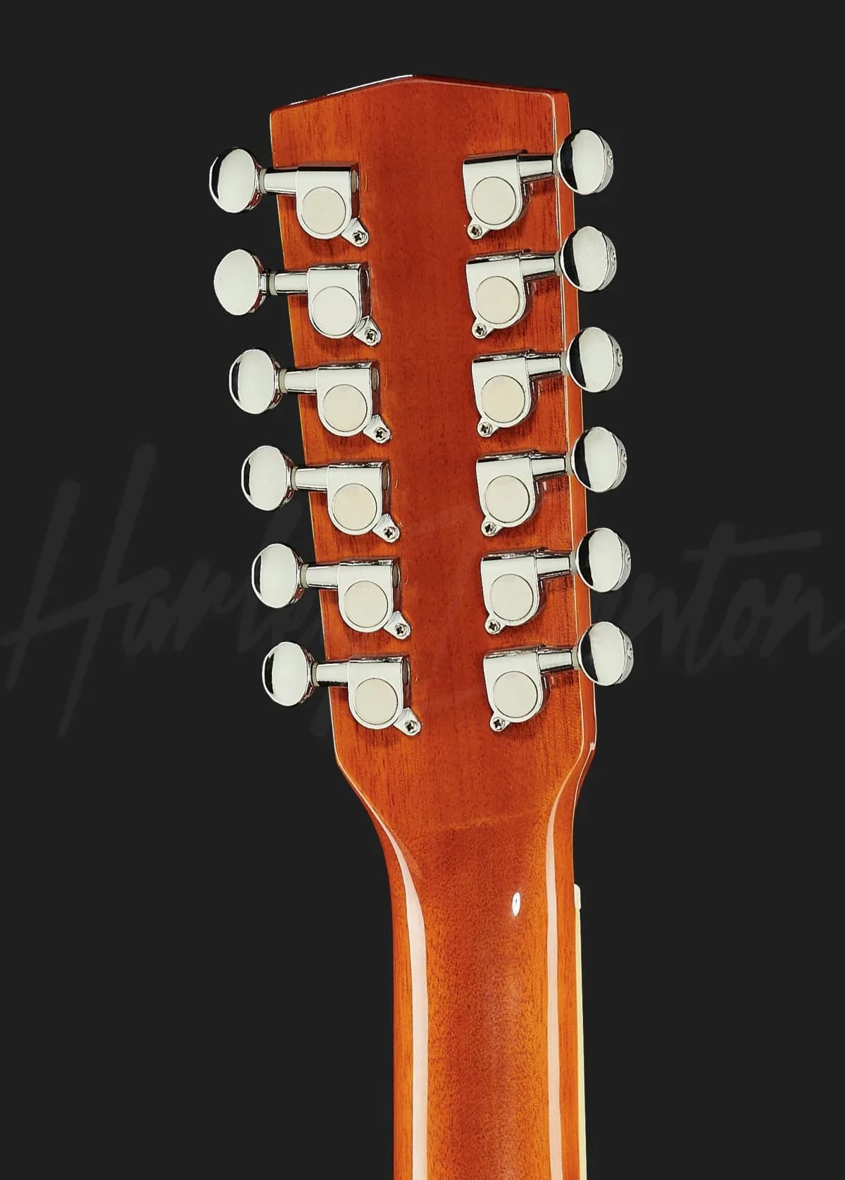 Harley Benton D-200CE-12 NT — photo 7