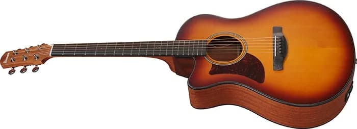 Ibanez AAM50LCE — photo 4