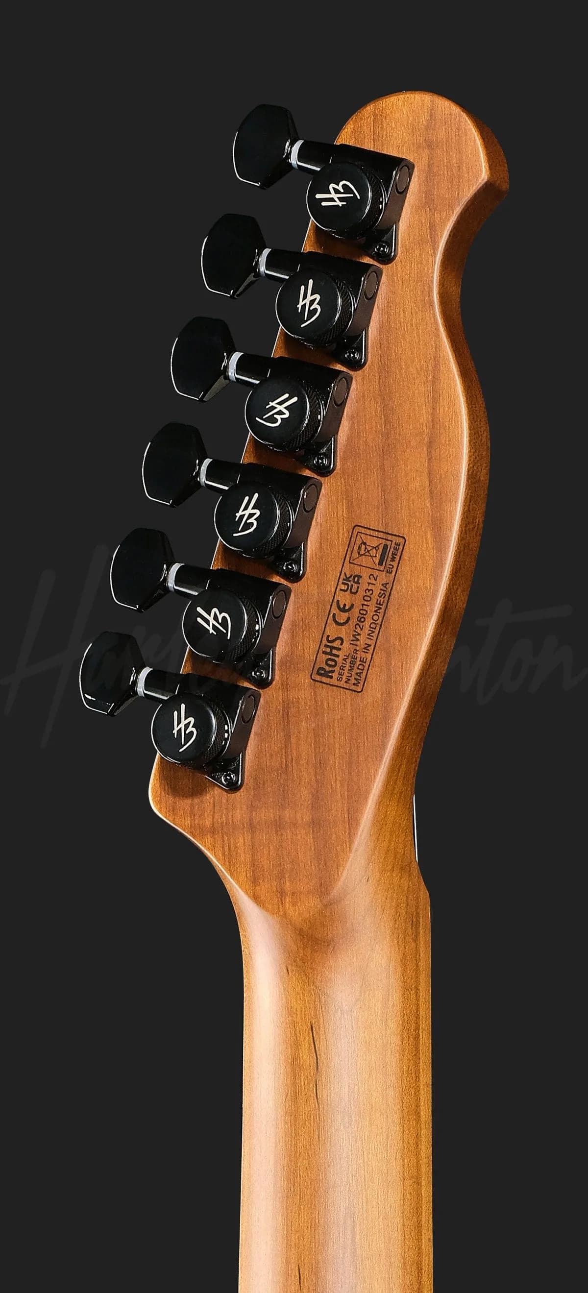 Harley Benton Fusion-T II HH LH MN HT BM — photo 7