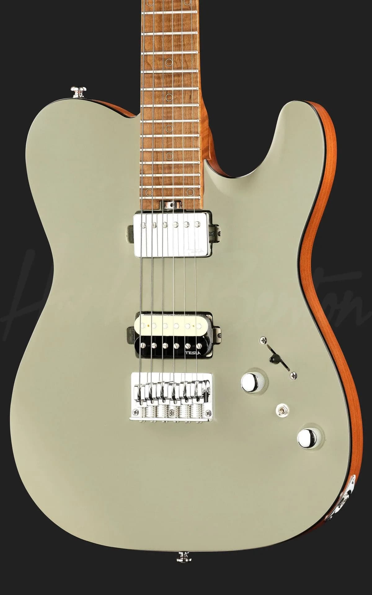 Harley Benton Fusion-T II HH MN HT SGR — photo 4