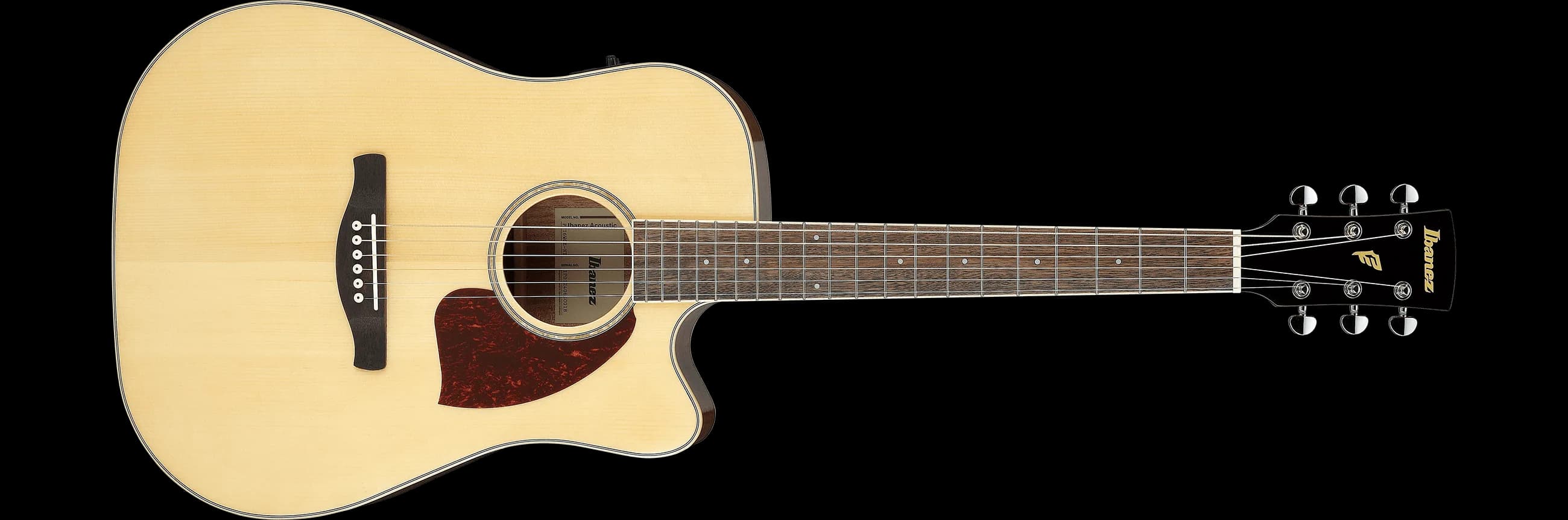 Ibanez PF16WCE