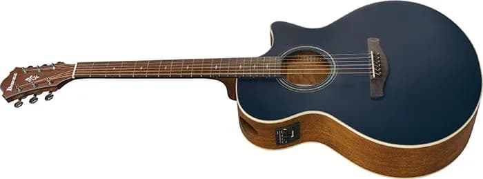 Ibanez AE100 — photo 4