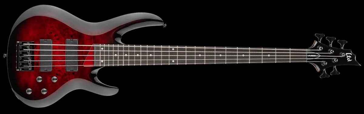 ESP B-205DX Red Burst