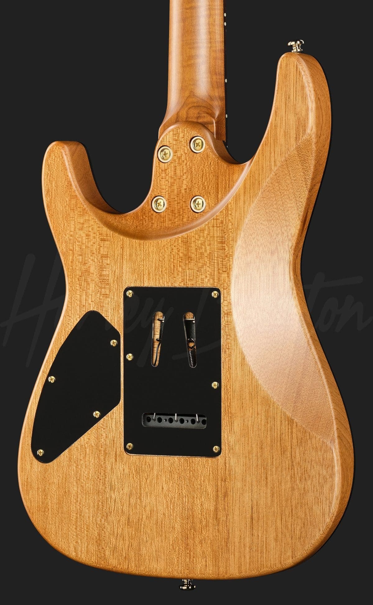 Harley Benton Fusion-IV HSS RW SGD — photo 5