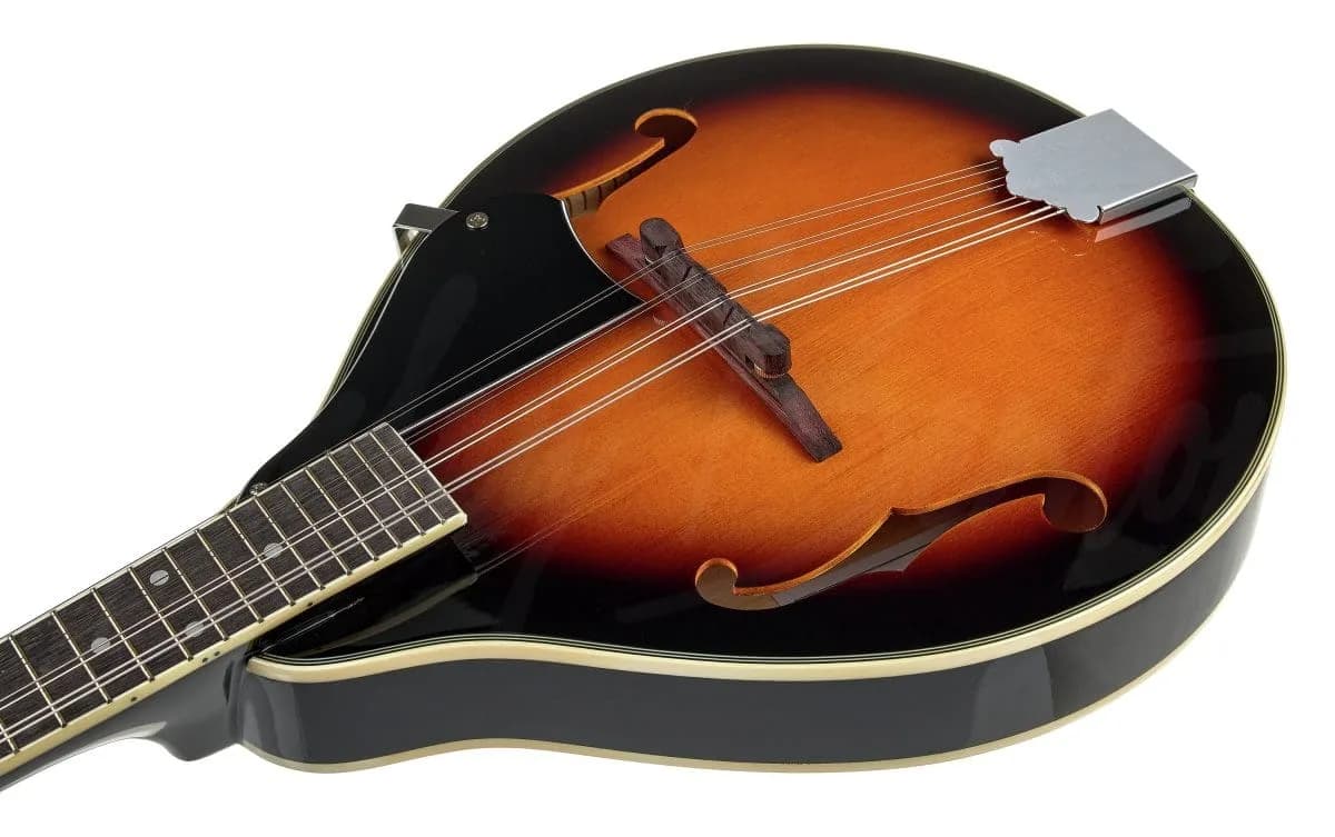Harley Benton MA-50 VS — photo 6