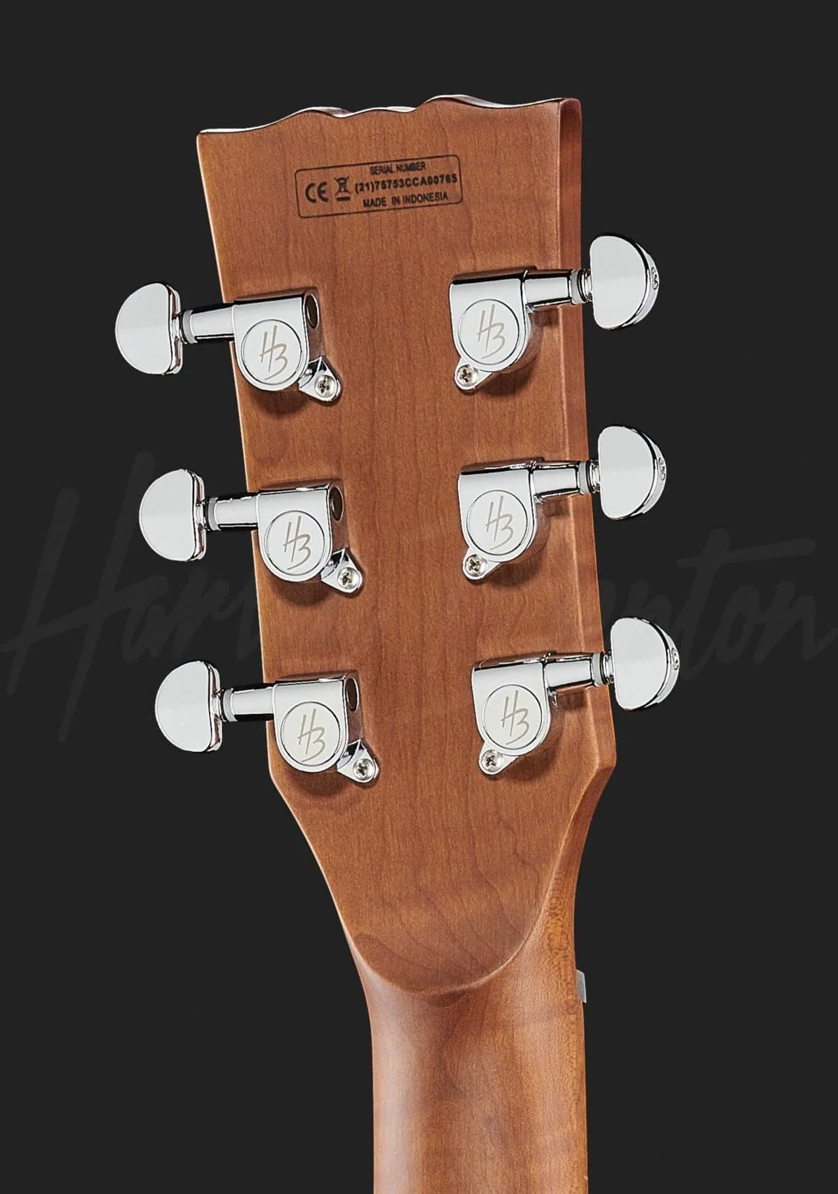 Harley Benton Aeolus Frost Flame — photo 7