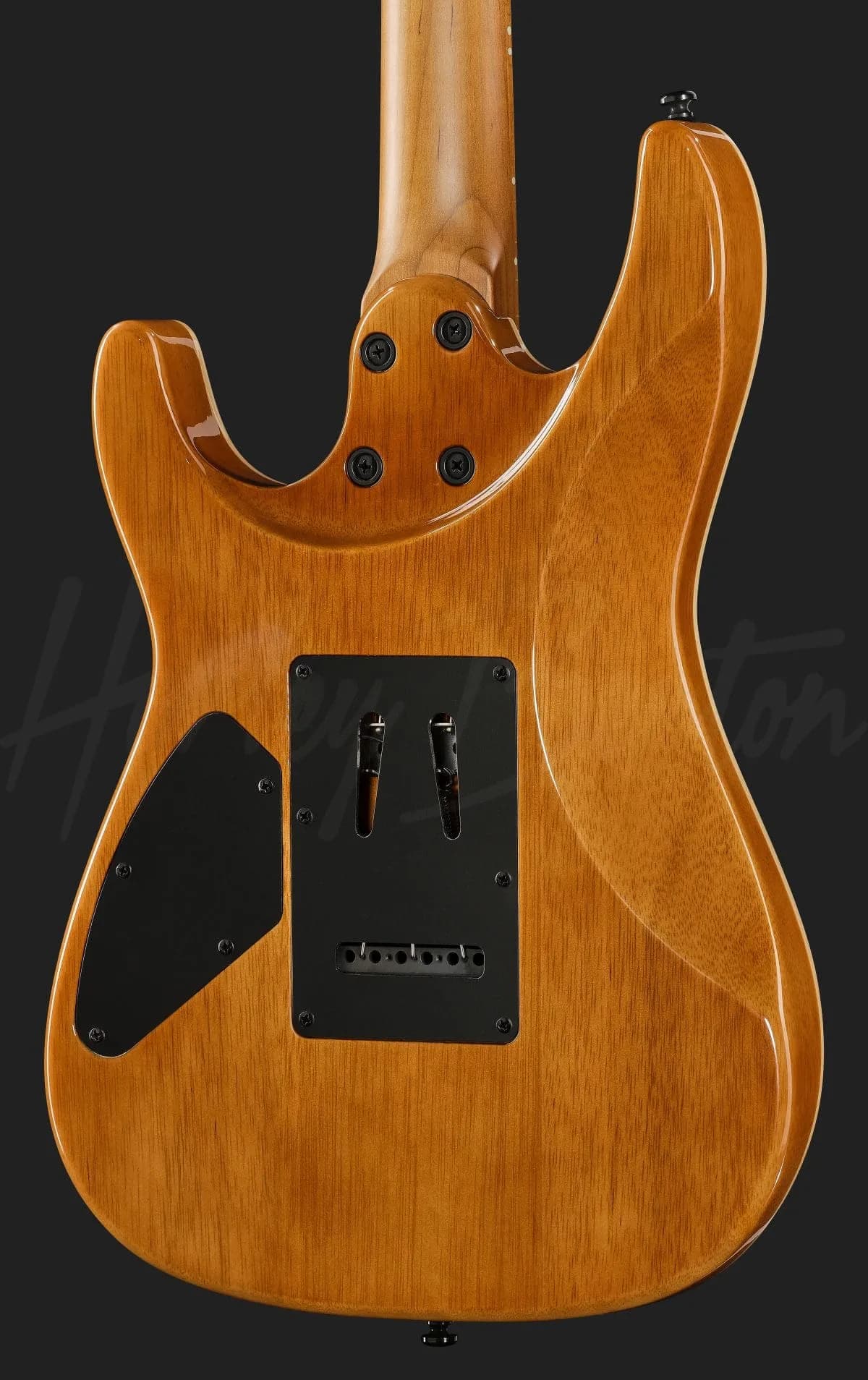 Harley Benton Fusion-IV HSS MN BM — photo 5