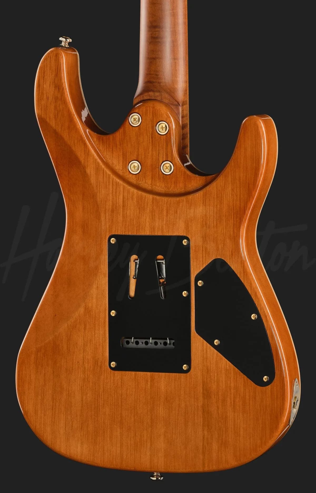Harley Benton Fusion-IV HSH LH MN FBB — photo 5