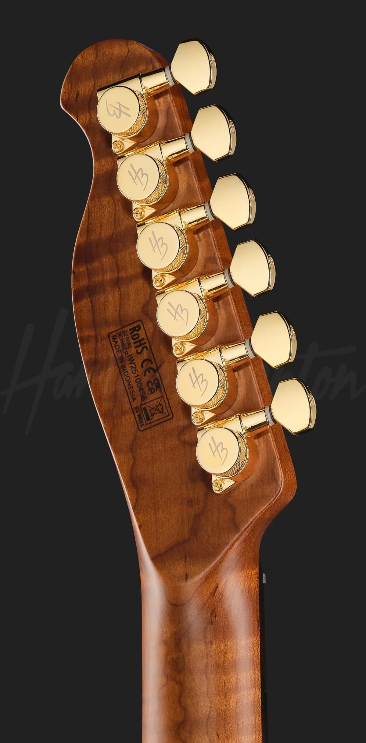 Harley Benton Fusion-T II HH RW HT FBB — photo 7