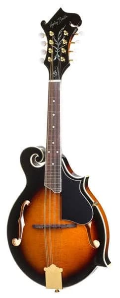 Harley Benton MA-100 VS