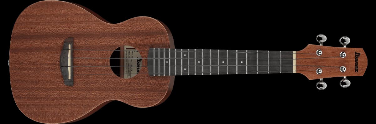 Ibanez UKS100