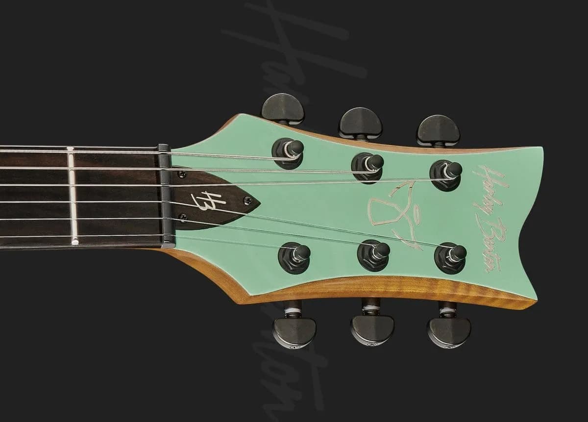 Harley Benton Agufish STD Signature SFG — photo 6