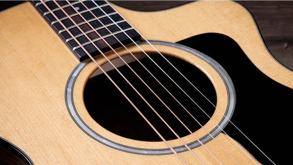 Taylor 212ce Plus — photo 5