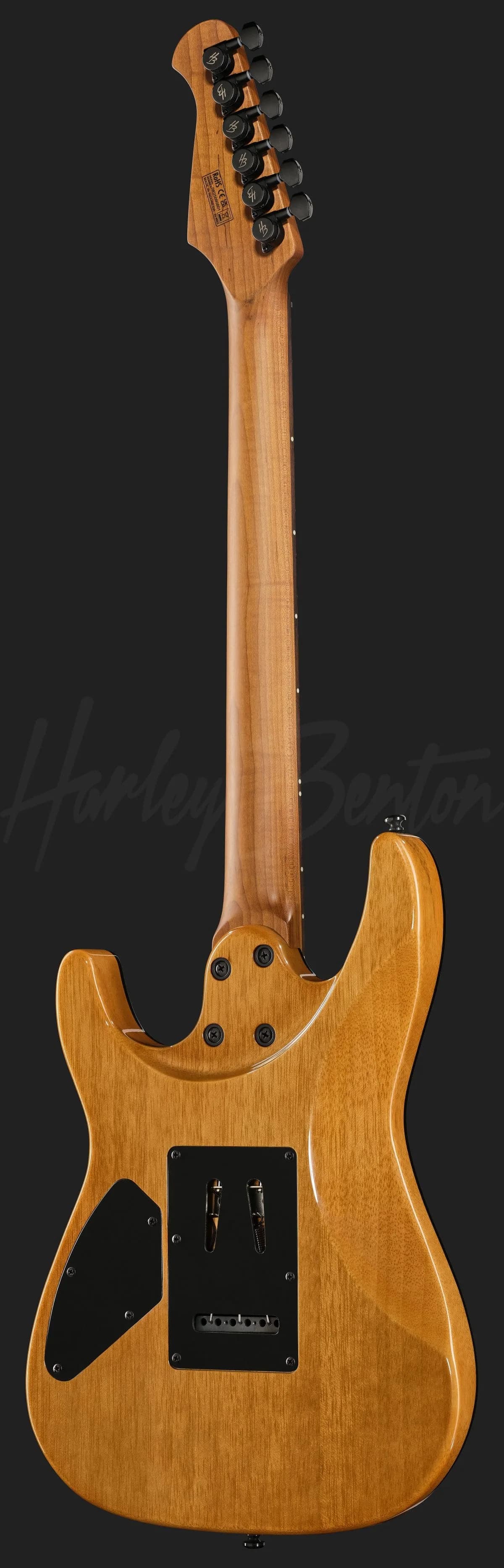 Harley Benton Fusion-IV HSS RW WM — photo 3