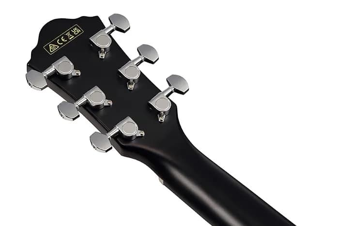 Ibanez AEG50 — photo 6