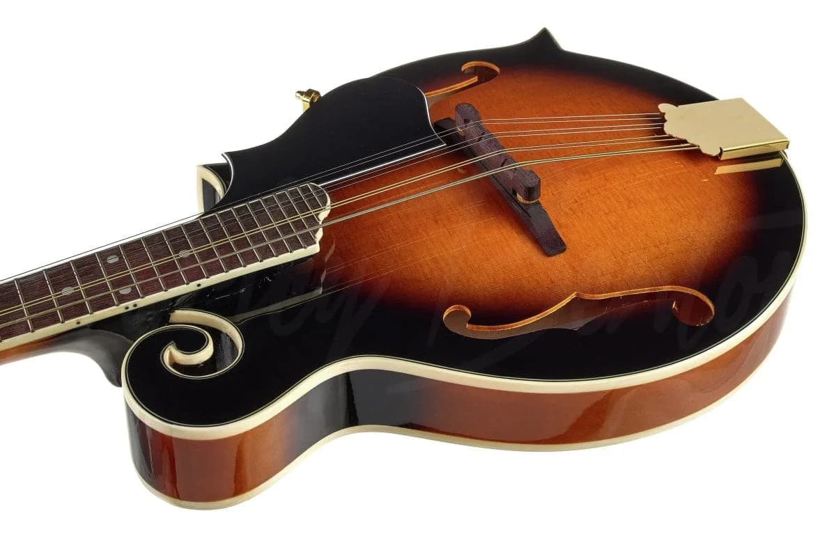 Harley Benton MA-100 VS — photo 6