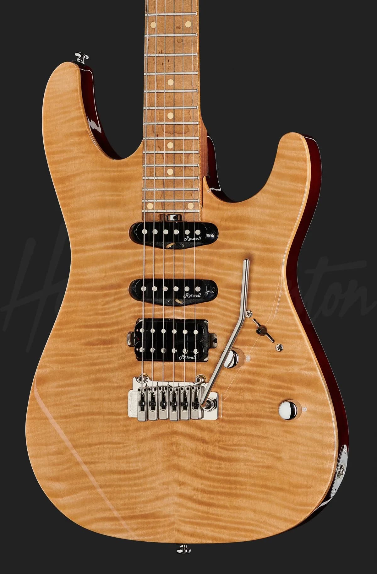 Harley Benton Fusion-III HSS Roasted FNT — photo 4