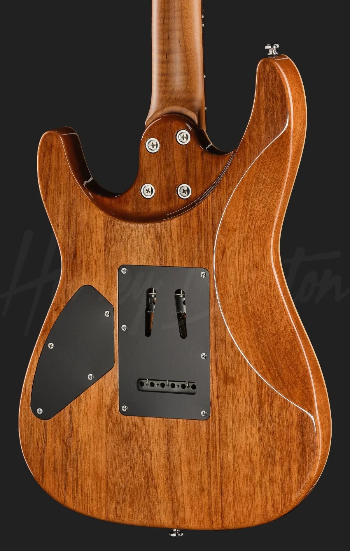 Harley Benton Fusion-IV HH RW JM — photo 5