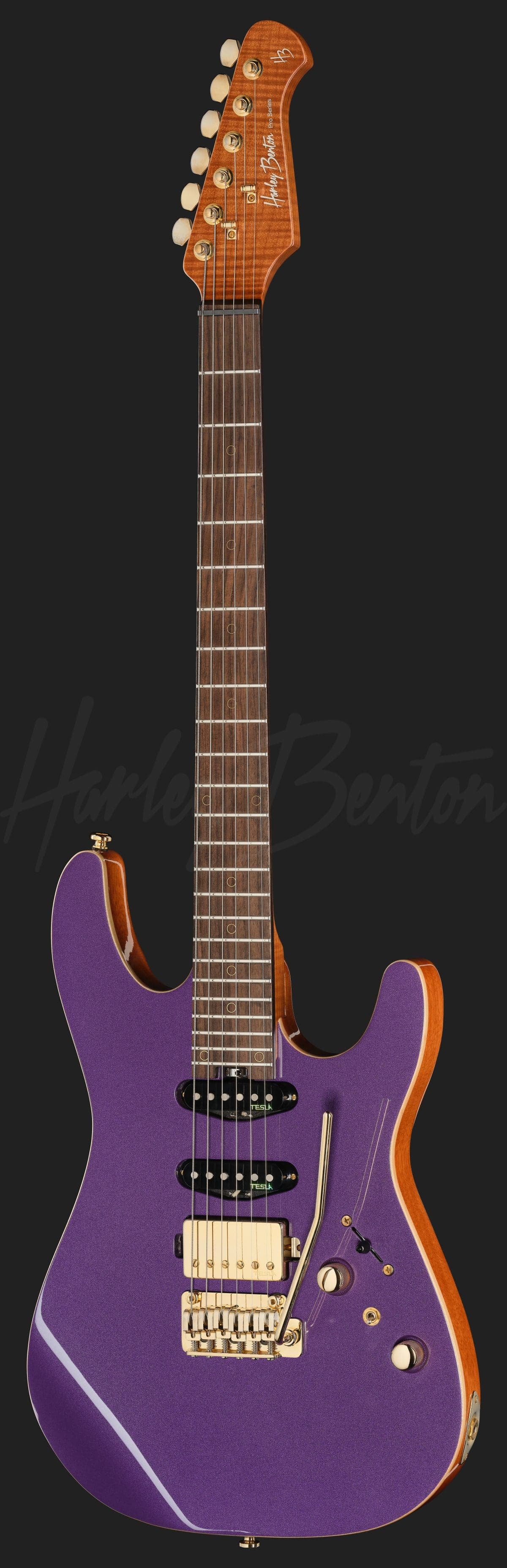 Harley Benton Fusion-IV HSS RW PM — photo 2