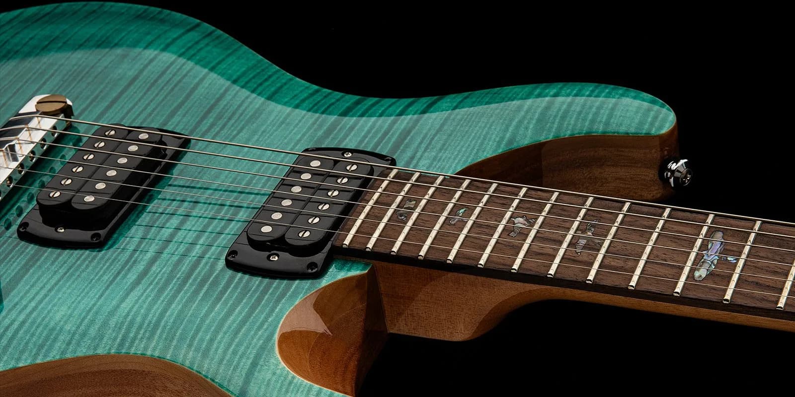 PRS SE Paul's Guitar