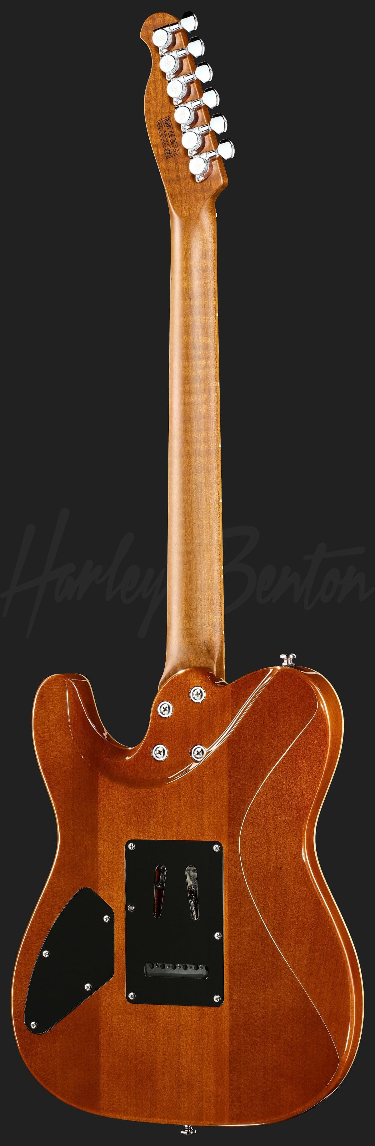Harley Benton Fusion-T II HH MN OTC — photo 3