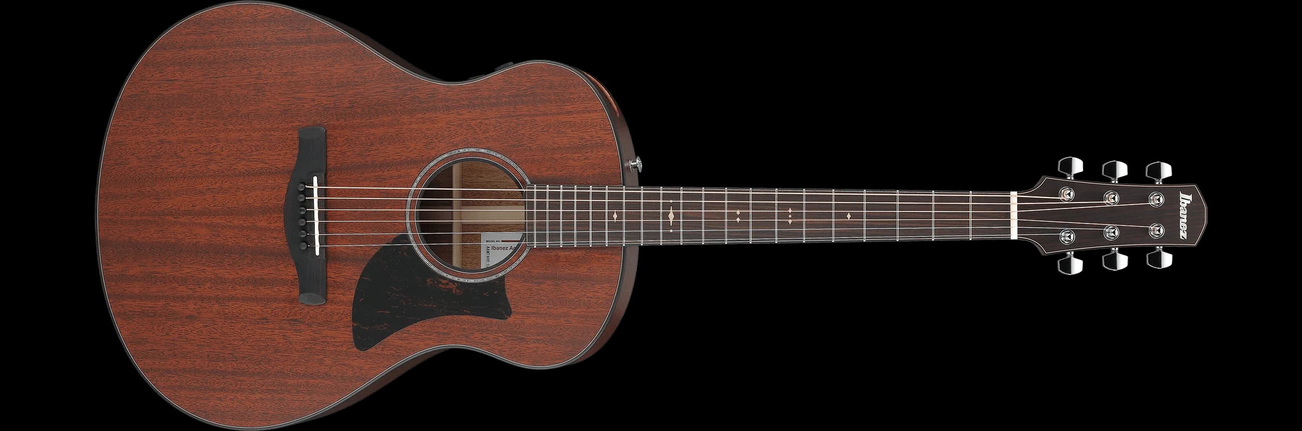 Ibanez AAM740E