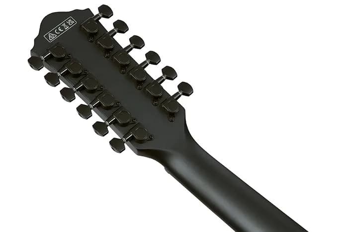 Ibanez AEG1221 — photo 2