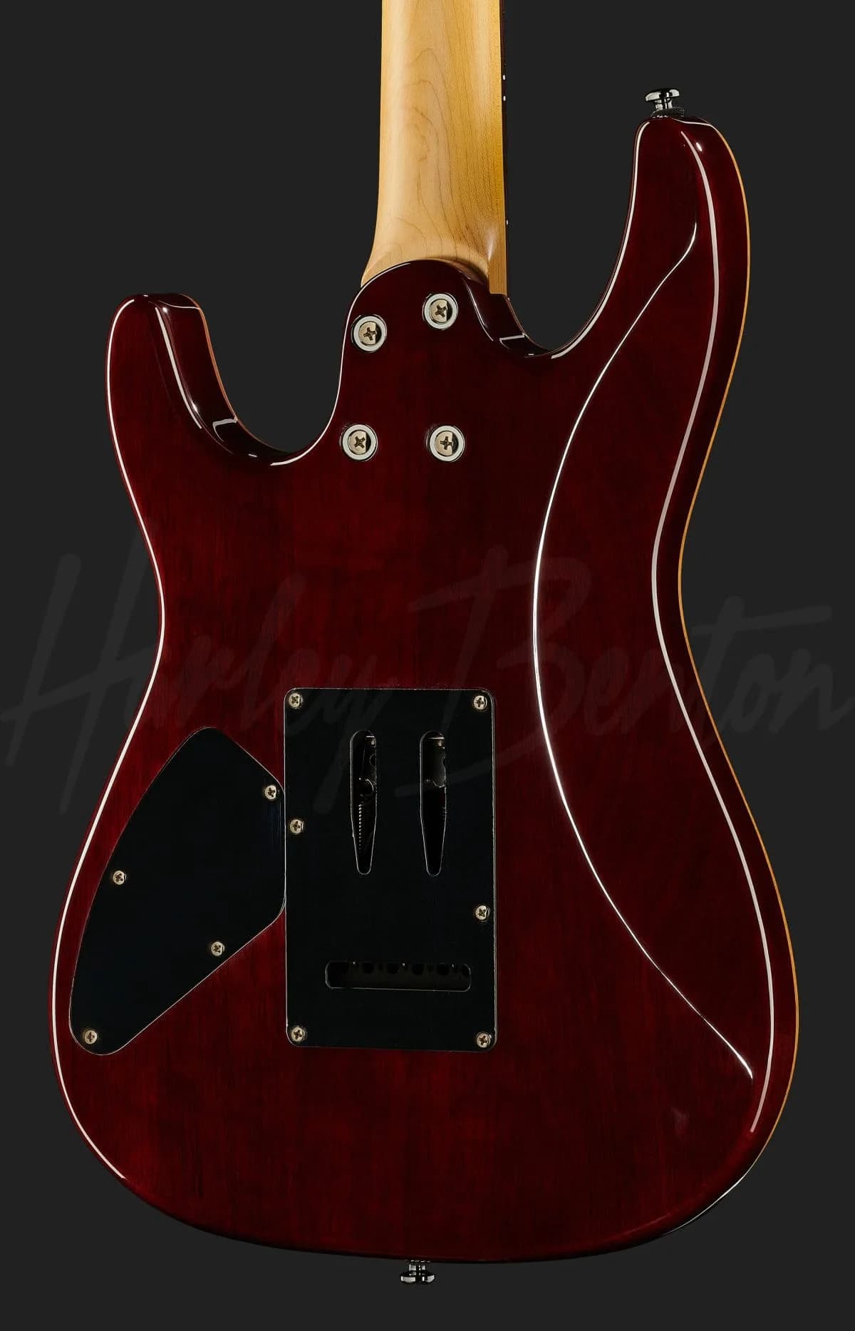 Harley Benton Fusion-III HH EB OCT — photo 5