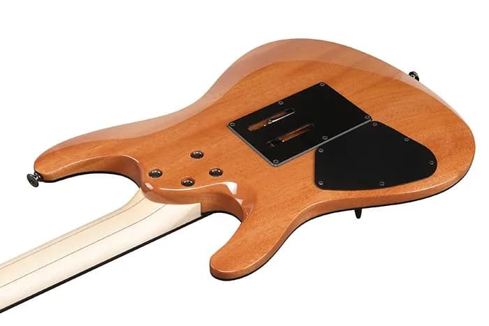 Ibanez S6670SK — photo 5