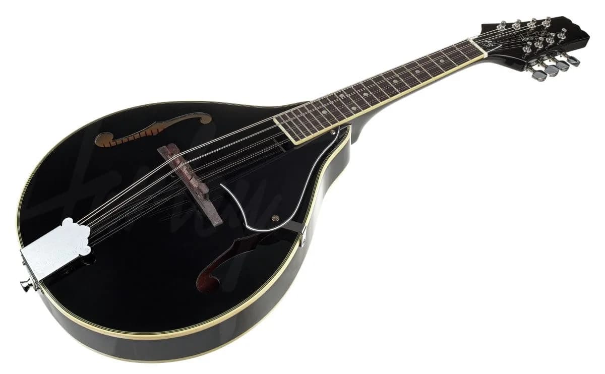Harley Benton MA-50 BK — photo 4