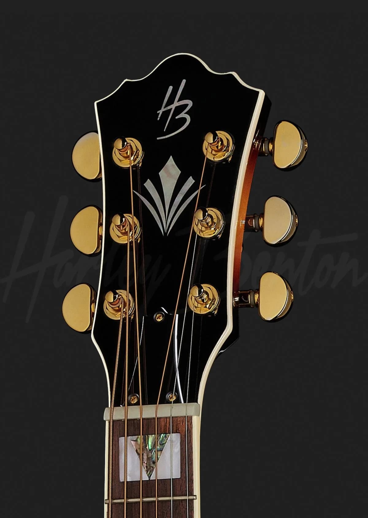 Harley Benton CL King-CE VS — photo 6