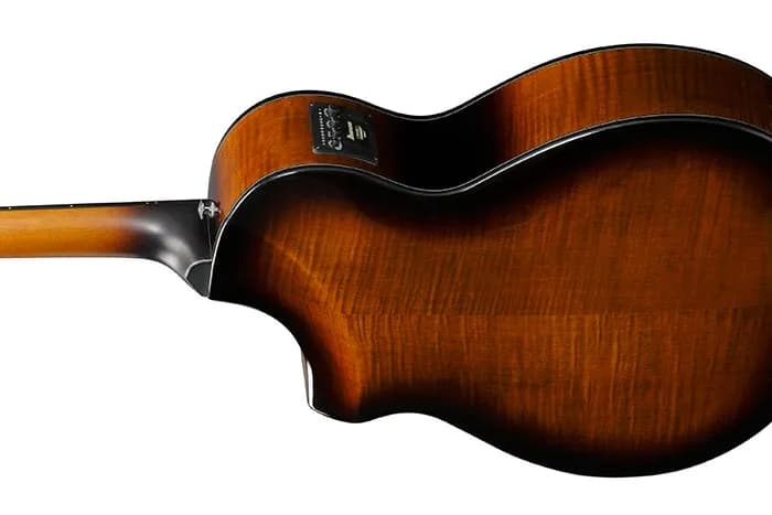 Ibanez AEWC400 — photo 6
