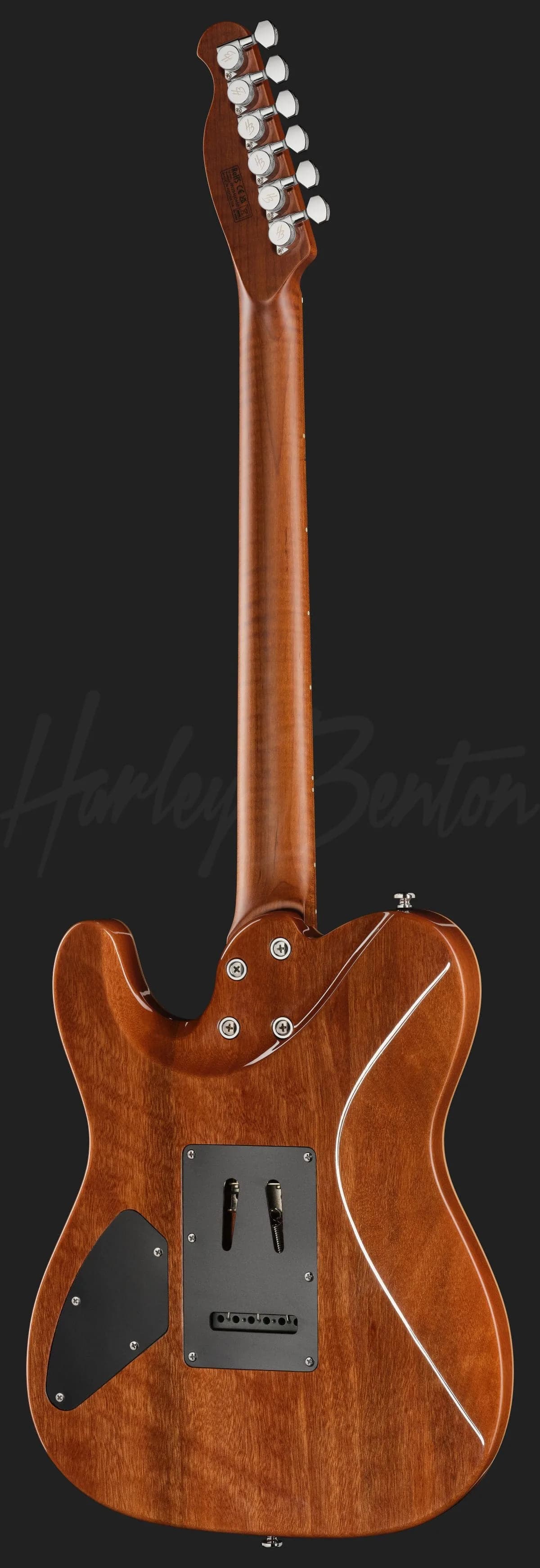 Harley Benton Fusion-T II HH MN QDG — photo 3