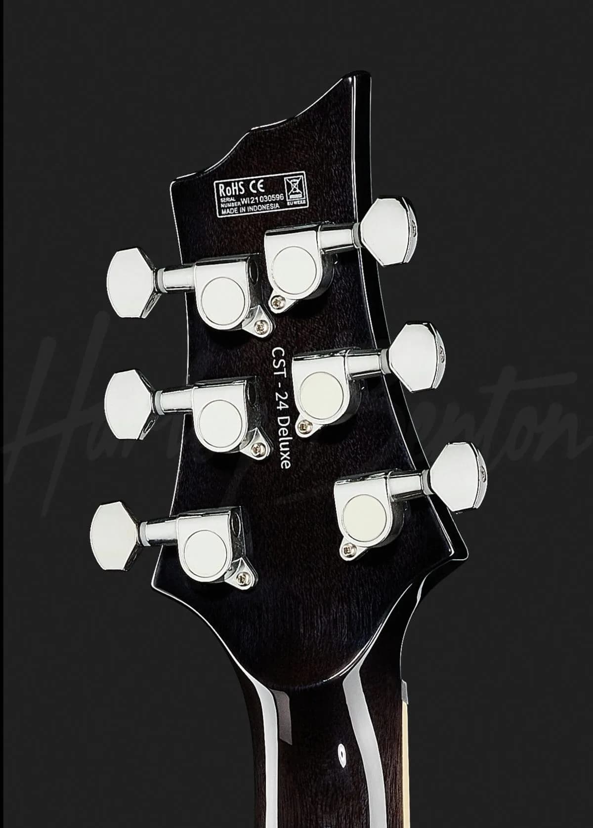 Harley Benton CST-24T Black Flame — photo 7