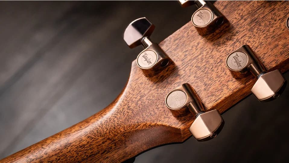 Taylor 724ce (2022) — photo 3