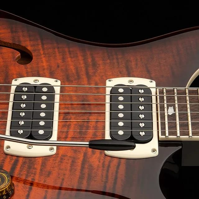 PRS SE Custom 24 Semi-Hollow Piezo — photo 4