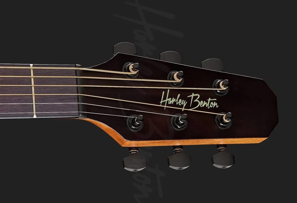 Harley Benton GS-Travel Mahogany — photo 6