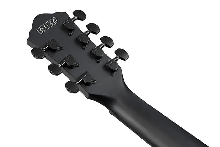 Ibanez AEG721 — photo 2