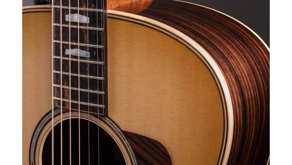 Taylor 818e — photo 7