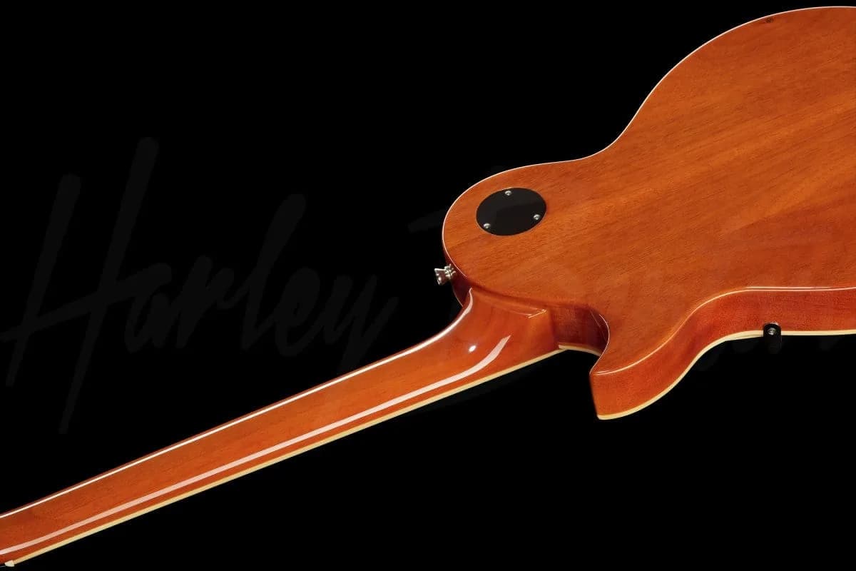 Harley Benton SC-450Plus HB — photo 8