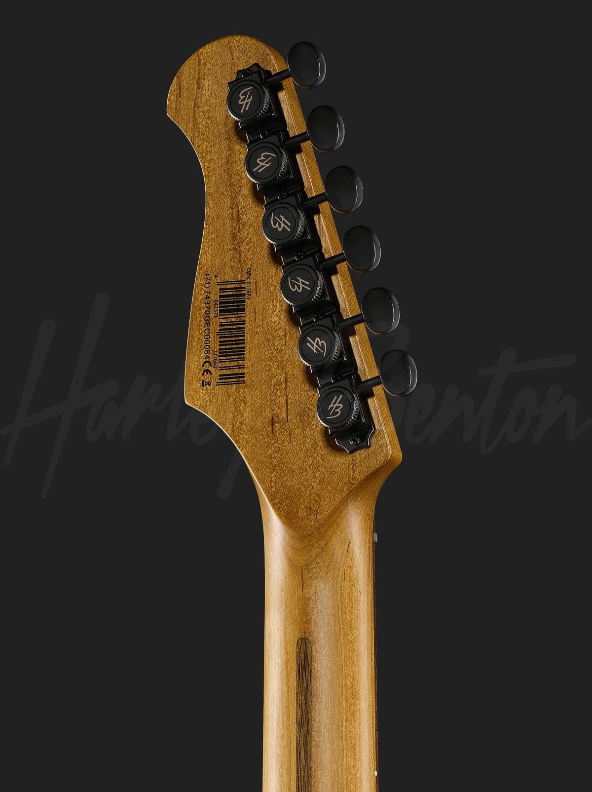 Harley Benton ST-Modern HH RR — photo 7