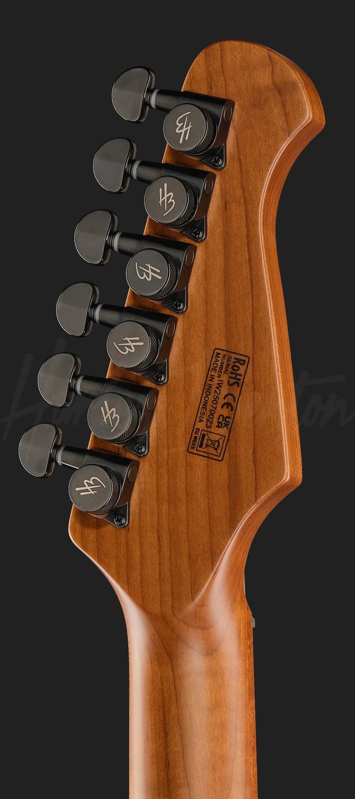 Harley Benton Fusion-IV MN HT EMG SBK — photo 7