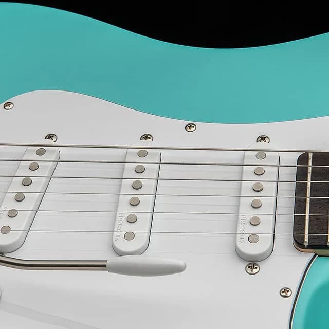 PRS Silver Sky Wild Blue Limited Edition — photo 4