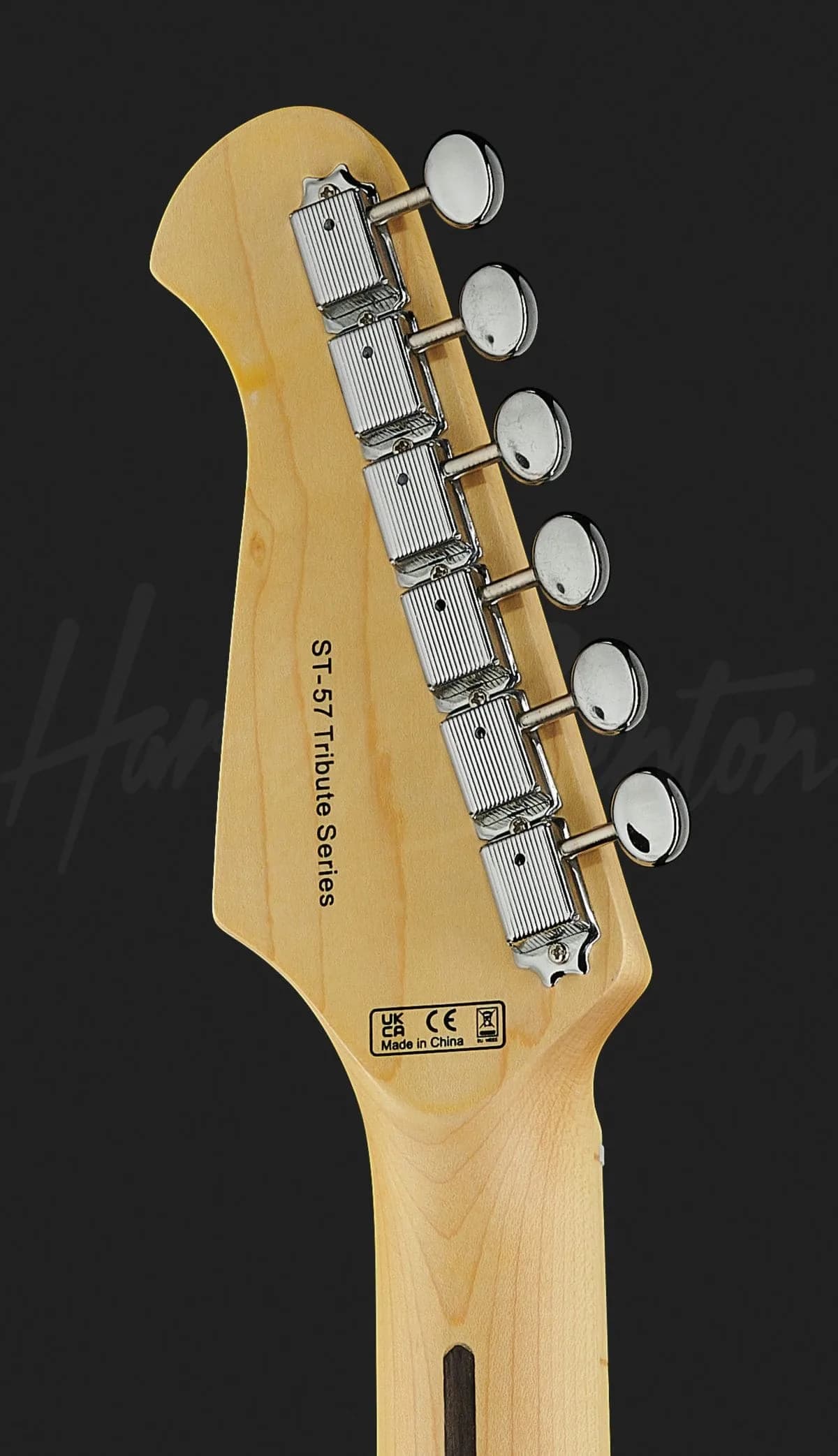Harley Benton ST-57DG Black — photo 7